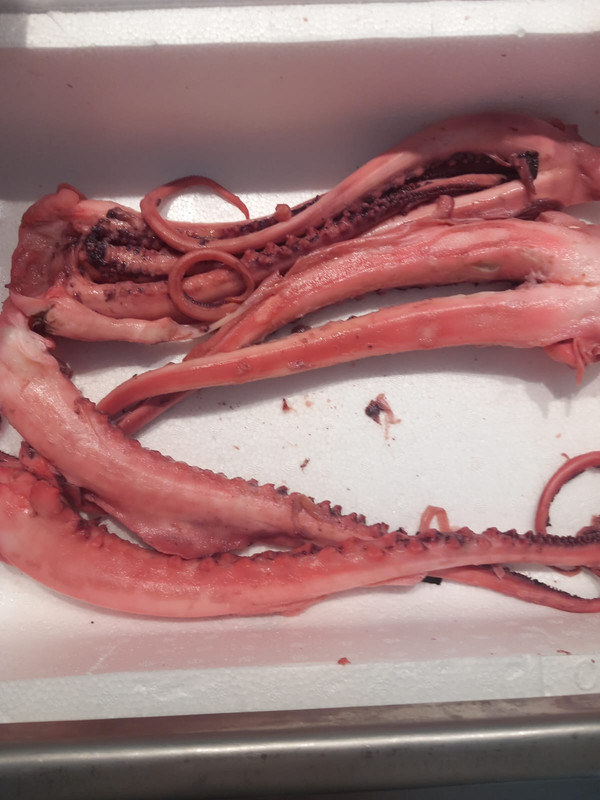 Pata de Pulpo - kg