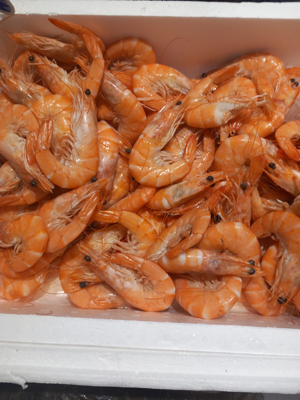 Langostino Cocido
