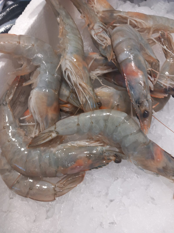 Langostino Crudo