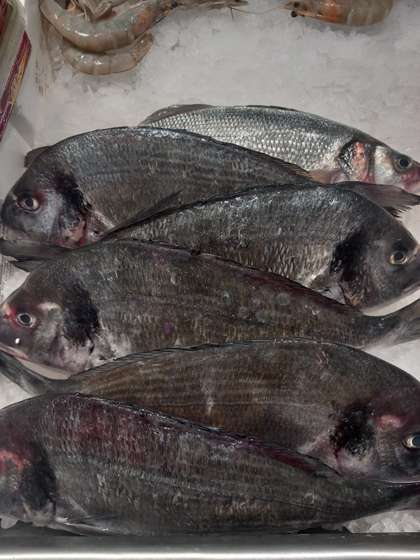 Dorada - Unidad 500 gr Aprox